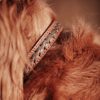 Welligogs Dogs | Leather Dog Collar