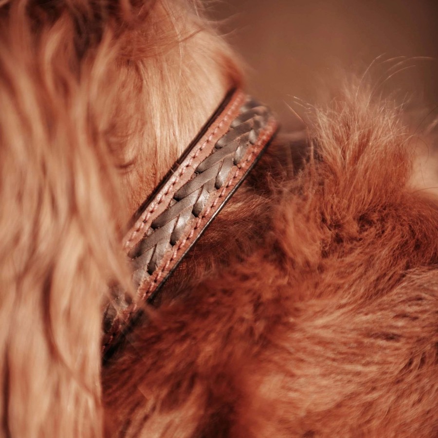 Welligogs Dogs | Leather Dog Collar